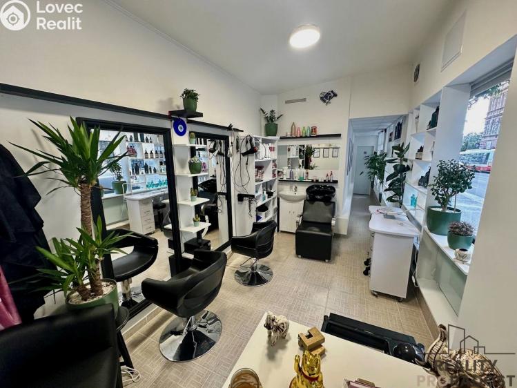 Pronájem obchodního prostoru Praha, Husitská 753/32 č. 5