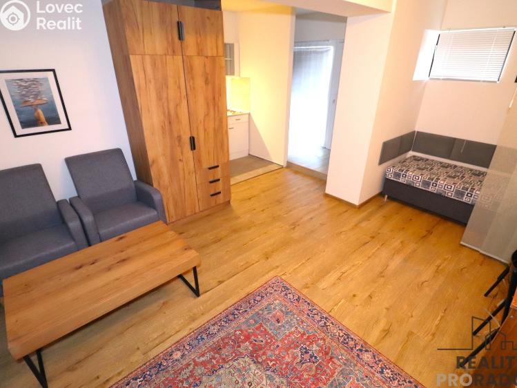 Pronájem bytu 1+KK Brno, Ladova 1799/1 č. 8