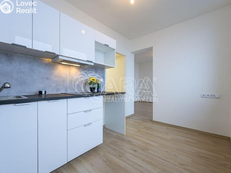 Pronájem bytu 1+1 Praha, Peroutkova 570/83 č. 3