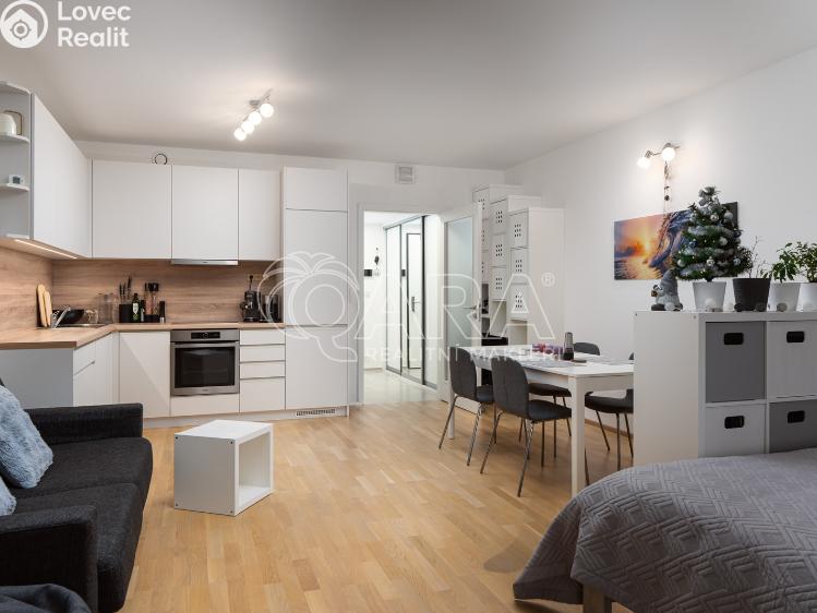 Rent apartment 1+KK Praha, Skálové 1874/2 č. 3