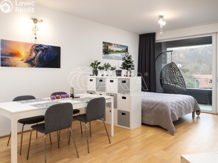 Rent apartment 1+KK Praha, Skálové 1874/2 č. 4