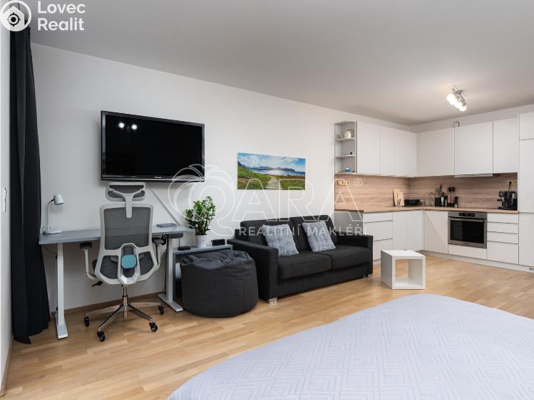 Rent apartment 1+KK Praha, Skálové 1874/2 č. 7