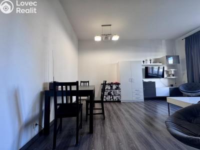 Pronájem bytu 2+1 Praha, Doudlebská č. 3