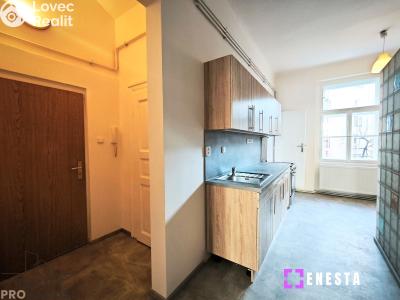 Pronájem bytu 2+1 Praha, Boleslavova č. 5