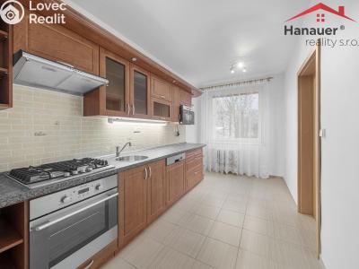 Prodej bytu 3+1 Ústí nad Labem, Anežky České č. 2