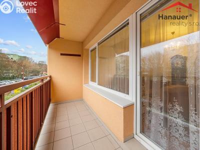 Prodej bytu 3+1 Ústí nad Labem, Anežky České č. 6