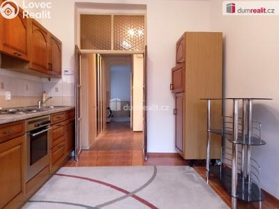 Pronájem bytu 1+1 Karlovy Vary, Petřín č. 1