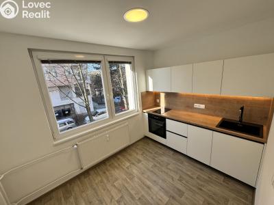 Prodej bytu 1+1 Zlín, Javorová 4529 č. 1
