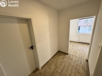 Prodej bytu 1+1 Zlín, Javorová 4529 č. 4