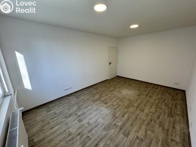 Prodej bytu 1+1 Zlín, Javorová 4529 č. 5