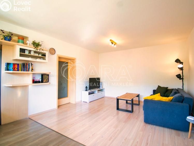 Pronájem bytu 2+KK Napajedla, Nábřeží 1630 č. 3