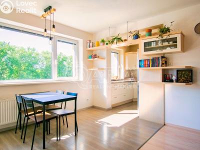 Pronájem bytu 2+KK Napajedla, Nábřeží 1630 č. 1