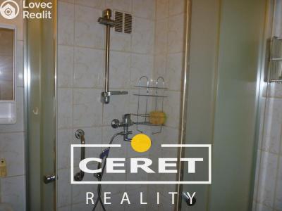 Pronájem bytu 2+1 Žatec, Pražská č. 5