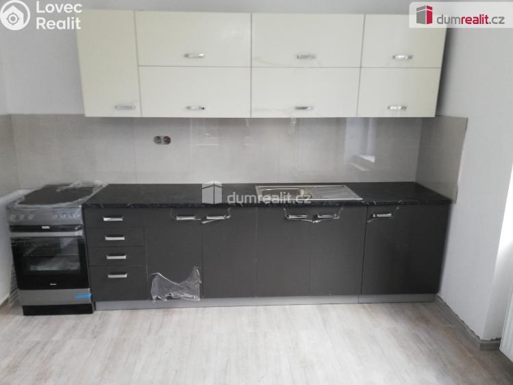 Pronájem bytu 2+1 Modlany č. 1