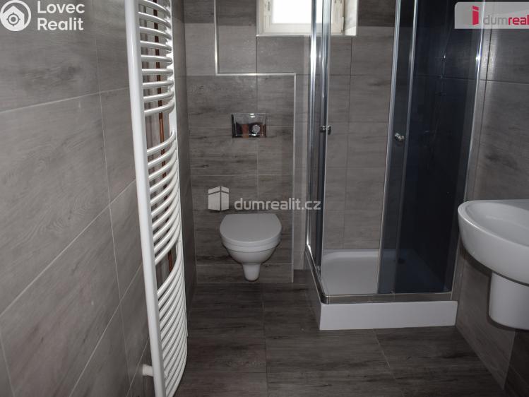 Pronájem bytu 2+1 Modlany č. 4