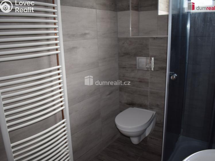 Pronájem bytu 2+1 Modlany č. 5