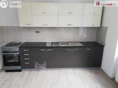 Pronájem bytu 2+1 Modlany č. 1