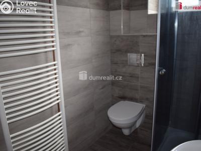 Pronájem bytu 2+1 Modlany č. 5