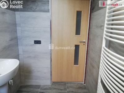 Pronájem bytu 2+1 Modlany č. 6