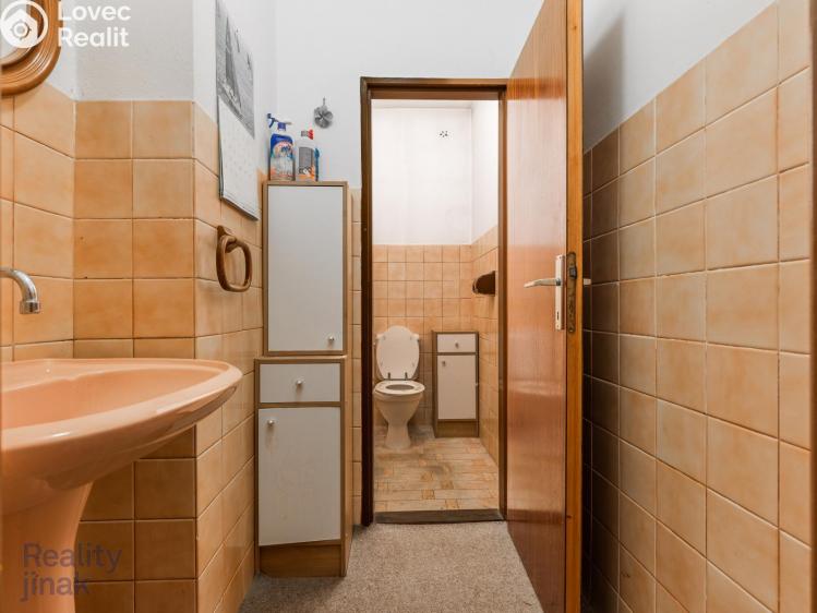 Prodej rodinného domu Dolní Dunajovice, Hlavní 555 č. 19