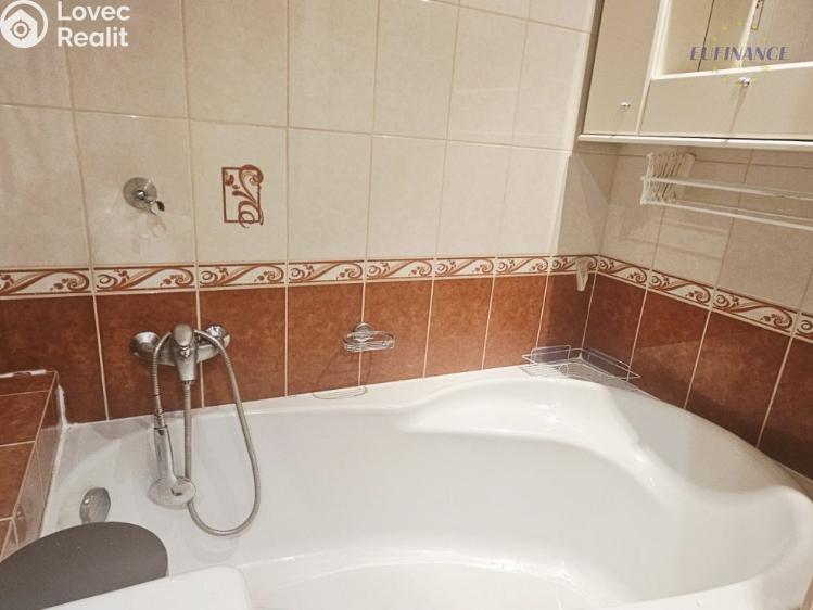 Pronájem bytu 3+1 Kralupy nad Vltavou, Tylova 734 č. 5