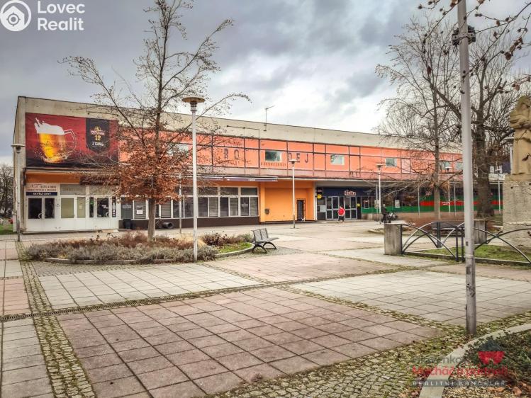 Pronájem komerční nemovitosti Bohumín, Čáslavská 1066 č. 1