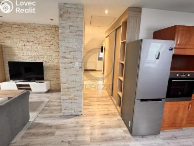 Pronájem bytu 2+1 Chomutov, Karlovarská č. 1