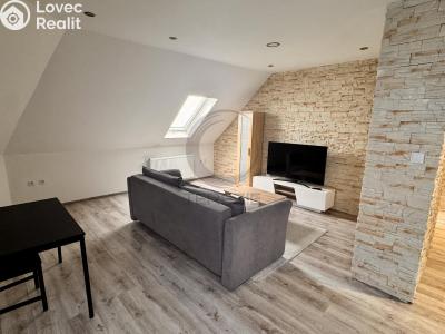 Pronájem bytu 2+1 Chomutov, Karlovarská č. 6