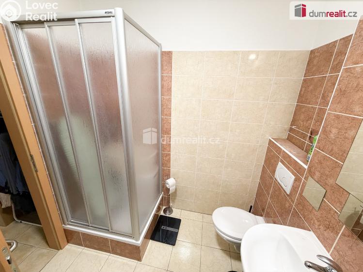 Pronájem rodinného domu Praha-Březiněves, Za sadem č. 13