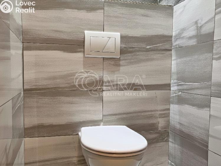 Rent apartment 2+1 Krnov, Libušina 217/24 č. 6