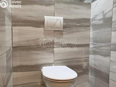 Rent apartment 2+1 Krnov, Libušina č. 6