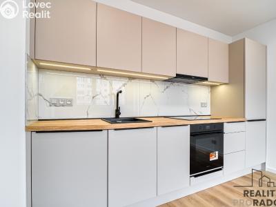 Pronájem bytu 2+KK Ostrava, Vietnamská č. 3