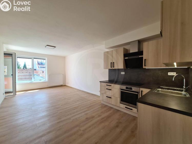 Pronájem bytu 3+KK České Budějovice, Riegrova 2894/30 č. 1