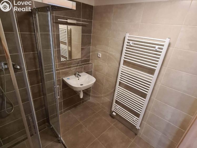 Pronájem bytu 3+KK České Budějovice, Riegrova 2894/30 č. 7