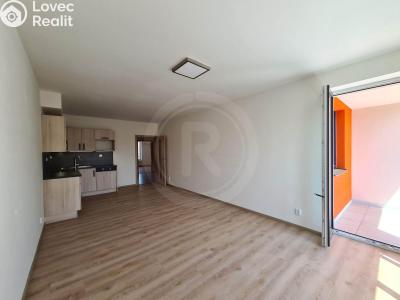 Pronájem bytu 3+KK České Budějovice, Riegrova č. 2