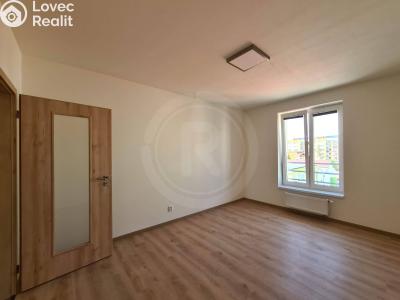 Pronájem bytu 3+KK České Budějovice, Riegrova č. 4