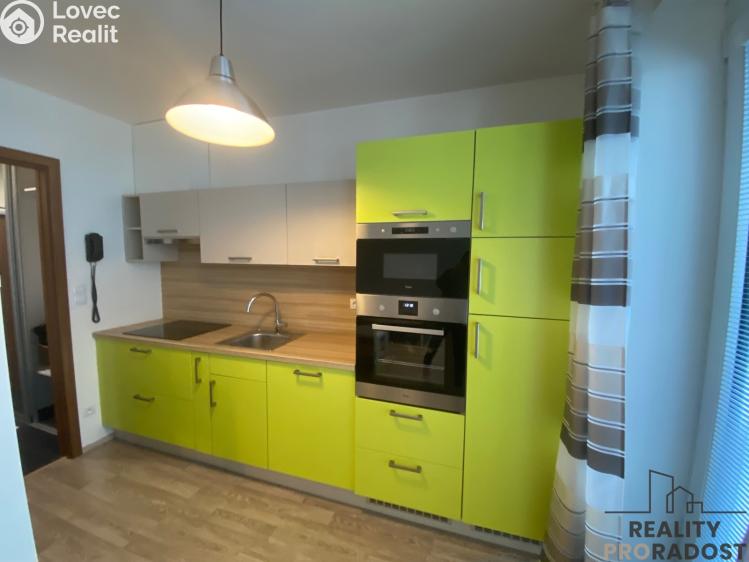 Pronájem bytu 1+1 Bystřice pod Hostýnem, Bělidla č. 1