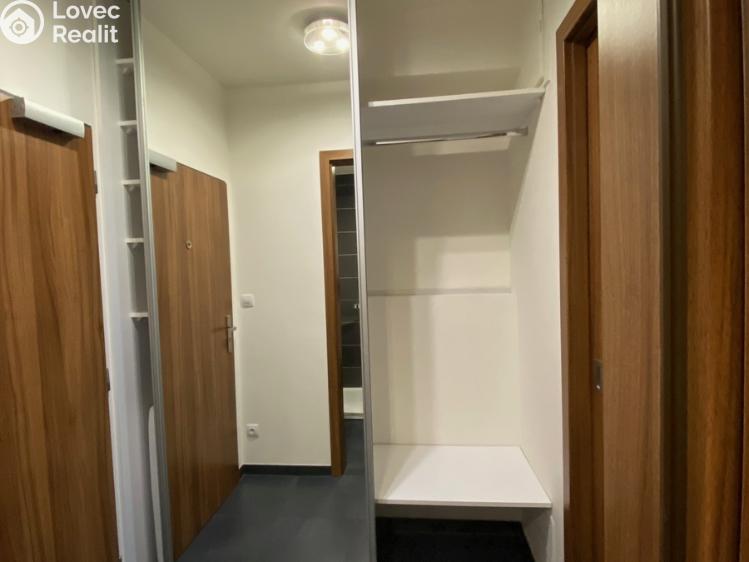 Pronájem bytu 1+1 Bystřice pod Hostýnem, Bělidla č. 4