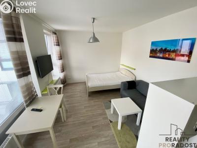 Pronájem bytu 1+1 Bystřice pod Hostýnem, Bělidla č. 3