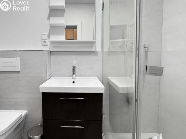 Pronájem bytu 1+KK Praha, Kaizlovy sady č. 5