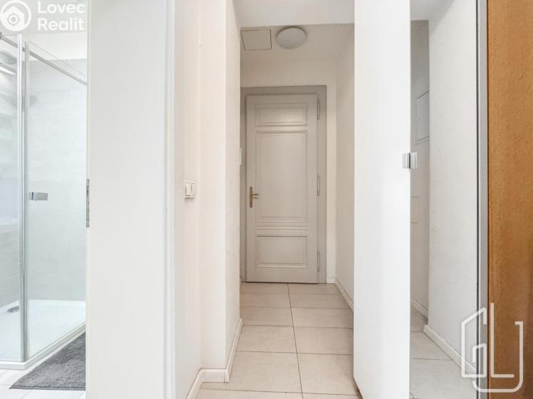 Pronájem bytu 1+KK Praha, Kaizlovy sady č. 6