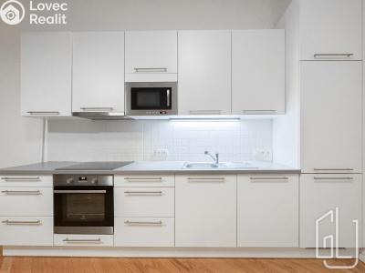 Pronájem bytu 1+KK Praha, Kaizlovy sady č. 1