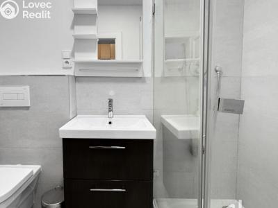 Pronájem bytu 1+KK Praha, Kaizlovy sady č. 5