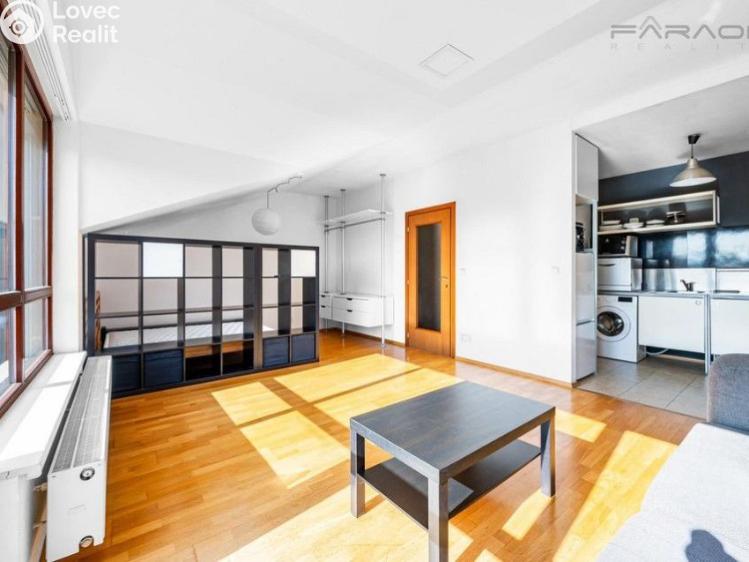 Pronájem bytu 1+KK Praha, Podvinný mlýn č. 1