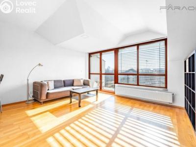 Pronájem bytu 1+KK Praha, Podvinný mlýn č. 4