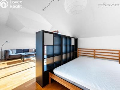 Pronájem bytu 1+KK Praha, Podvinný mlýn č. 5