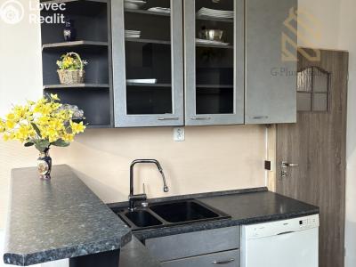 Rent apartment 3+1 Ústí nad Labem, Králova výšina č. 8