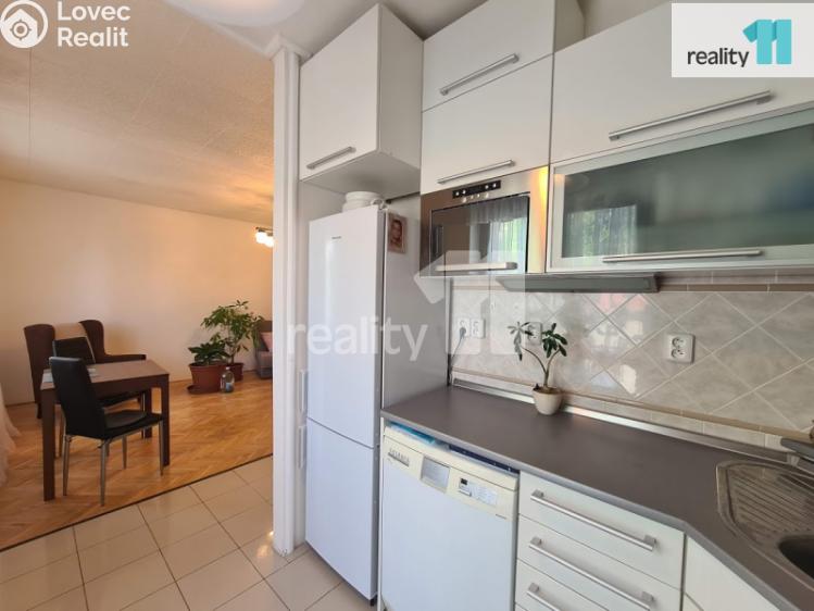 Оренда квартири 2+1 Nymburk, U Růžáku č. 3