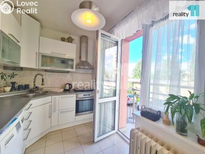 Аренда квартиры 2+1 Nymburk, U Růžáku č. 1