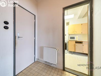 Prodej rodinného domu Litvínov, Vančurova č. 7